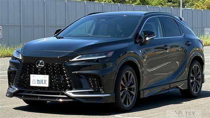2025 Lexus RX
