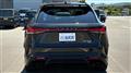 2025 Lexus RX