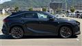 2025 Lexus RX