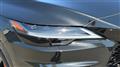 2025 Lexus RX