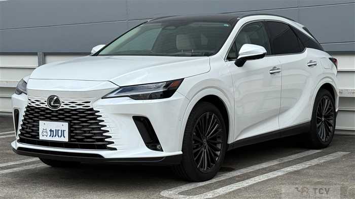 2024 Lexus RX