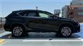 2014 Lexus NX