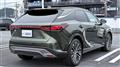 2025 Lexus RX