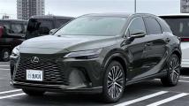 2025 Lexus RX