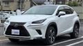 2018 Lexus NX