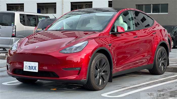 2024 Tesla Motors Others