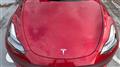 2024 Tesla Motors Others