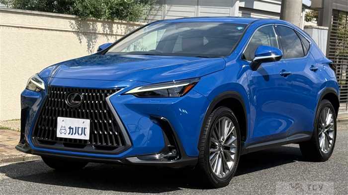 2023 Lexus NX