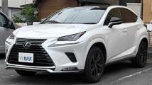 2021 Lexus NX