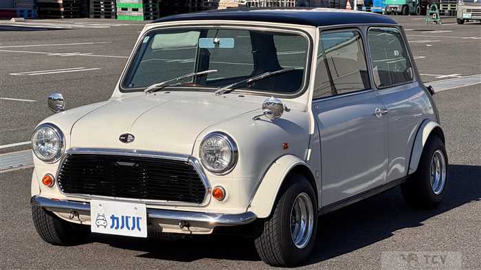 1995 Rover Mini