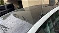 2022 Tesla Motors Others
