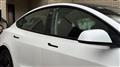 2022 Tesla Motors Others
