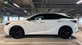 2025 Lexus RX
