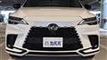 2025 Lexus RX