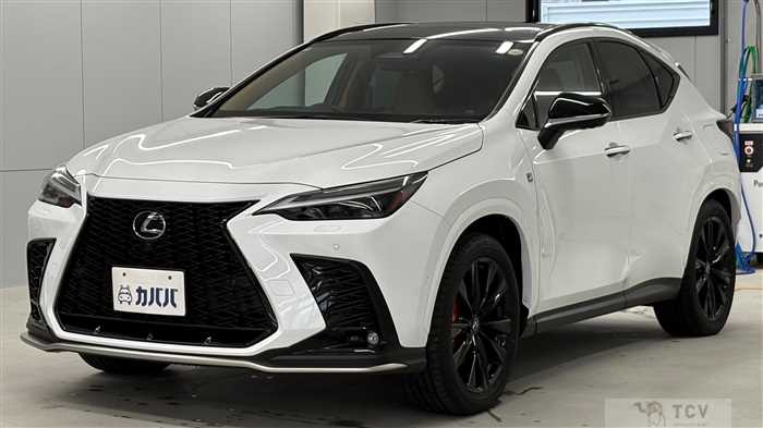 2024 Lexus NX