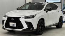 2024 Lexus NX