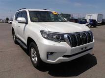 2019 Toyota Land Cruiser Prado