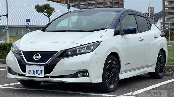 2017 Nissan Leaf