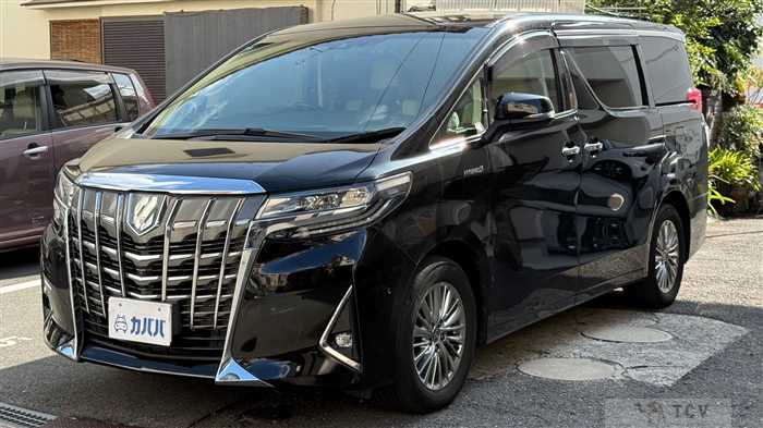 2020 Toyota Alphard