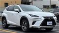 2018 Lexus NX