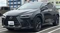 2025 Lexus NX
