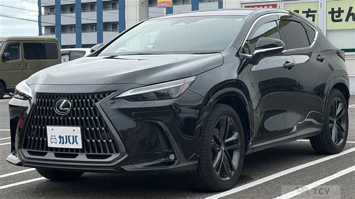 2025 Lexus NX
