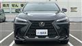 2025 Lexus NX