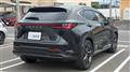 2025 Lexus NX