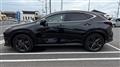 2025 Lexus NX