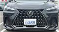 2025 Lexus NX