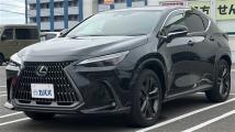2025 Lexus NX