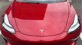 2020 Tesla Motors Others