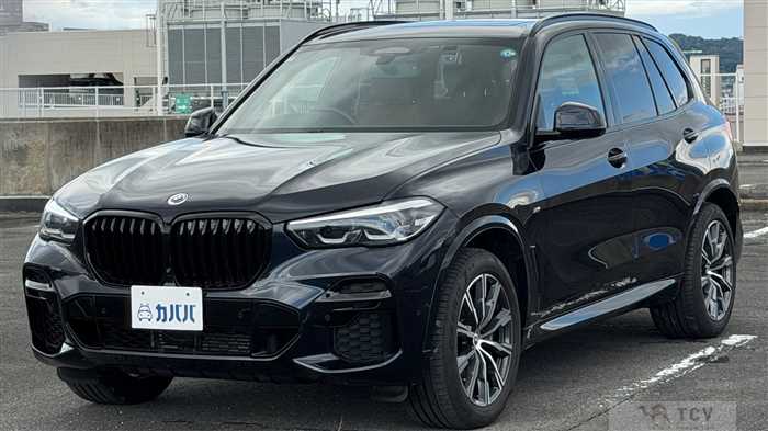 2023 BMW X5