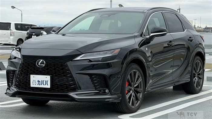 2025 Lexus RX