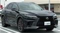 2025 Lexus RX