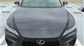 2025 Lexus RX