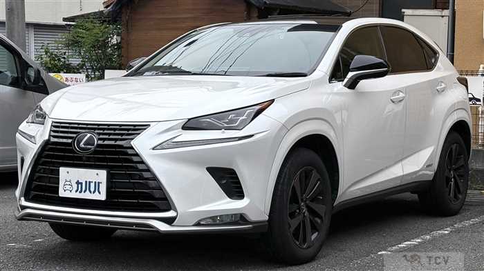 2021 Lexus NX