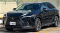 2025 Lexus RX