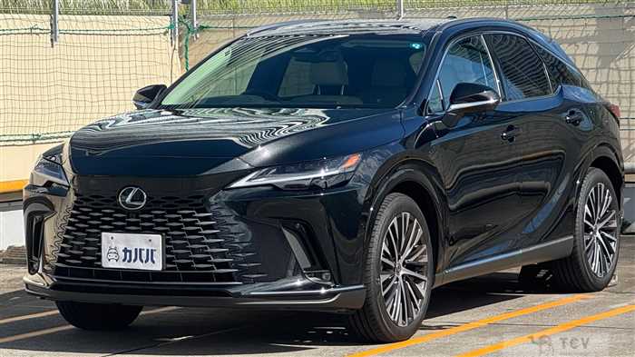 2025 Lexus RX