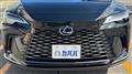 2025 Lexus RX