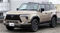 2025 Lexus GX