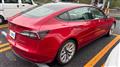 2021 Tesla Motors Others