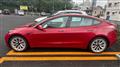 2021 Tesla Motors Others