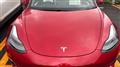 2021 Tesla Motors Others