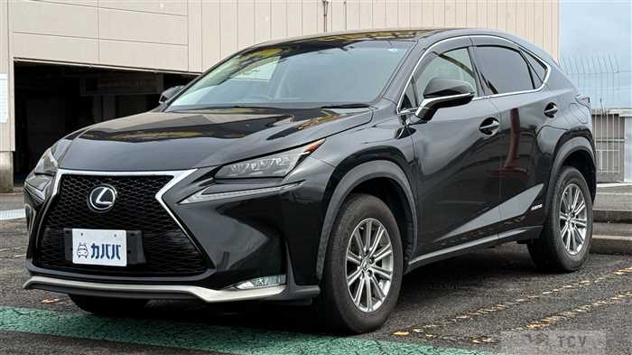 2015 Lexus NX