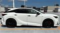 2025 Lexus RX