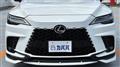 2025 Lexus RX
