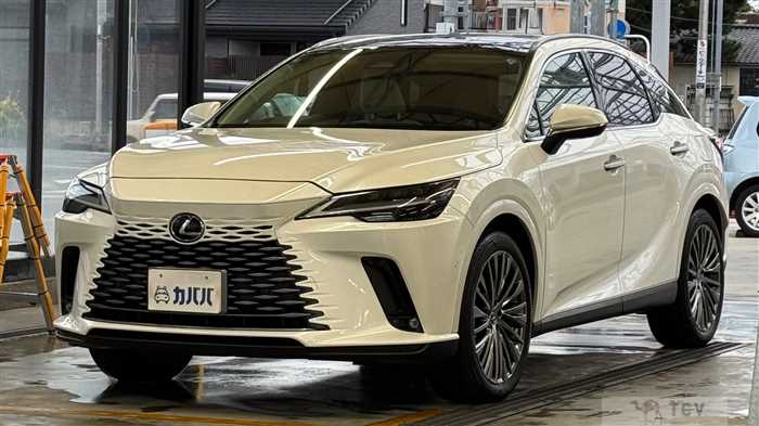 2023 Lexus RX