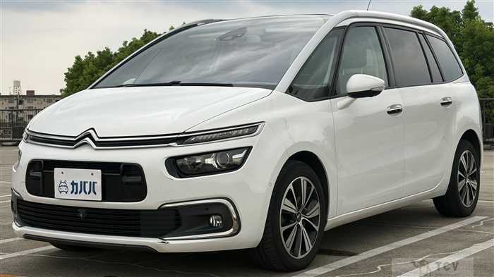 2018 Citroen Citroen Others