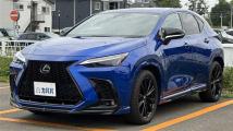 2022 Lexus NX
